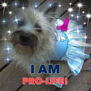 Meet your Posher, Beverly